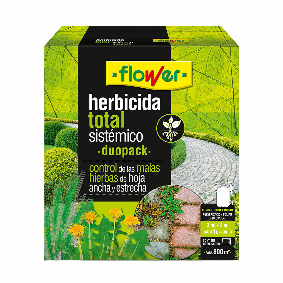V2H458234E27A809D940CABD8DBEC597543R5826124P1