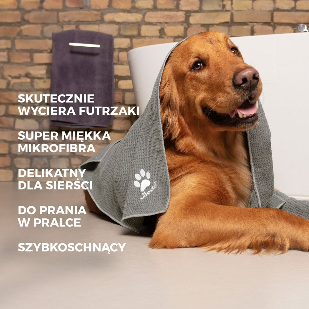 V3H3851072D2742F4FEA8F48D7E321BD016R4692249P6