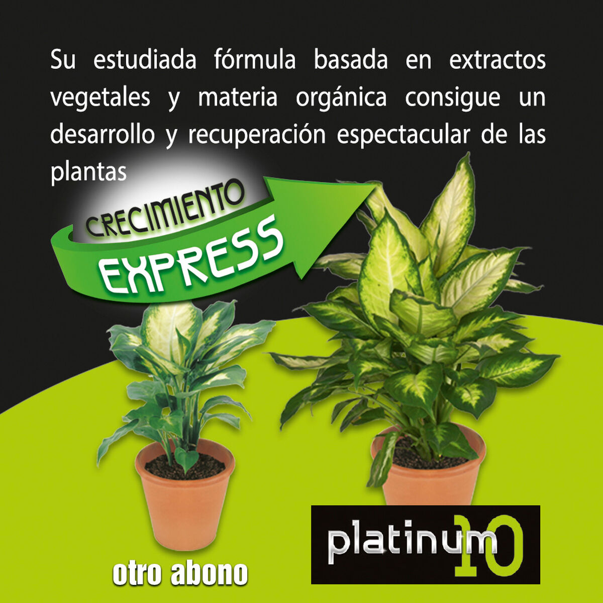 V2H8B6E58B2ABFFB6A425A268199A28AC07R5565885P3